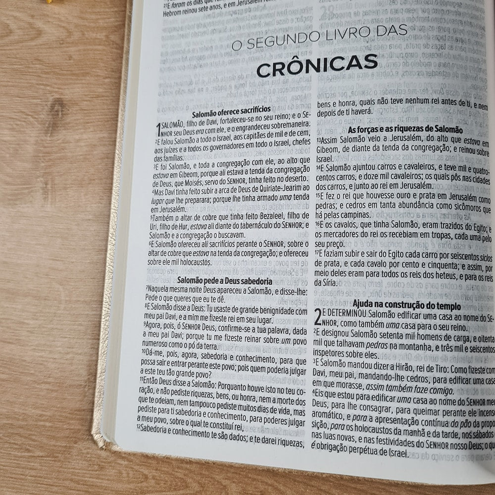 Bíblia Sagrada Linhas de Ouro | ACF | Letra Maior | Capa Luxo