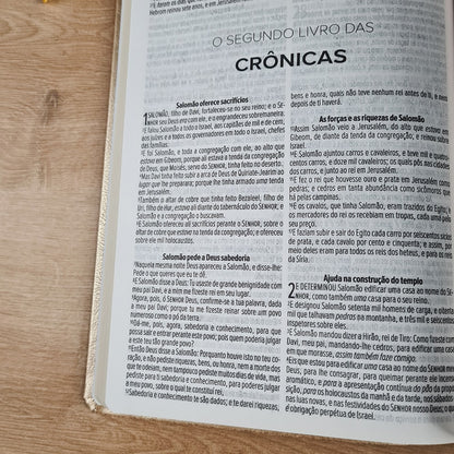 Bíblia Sagrada Linhas de Ouro | ACF | Letra Maior | Capa Luxo
