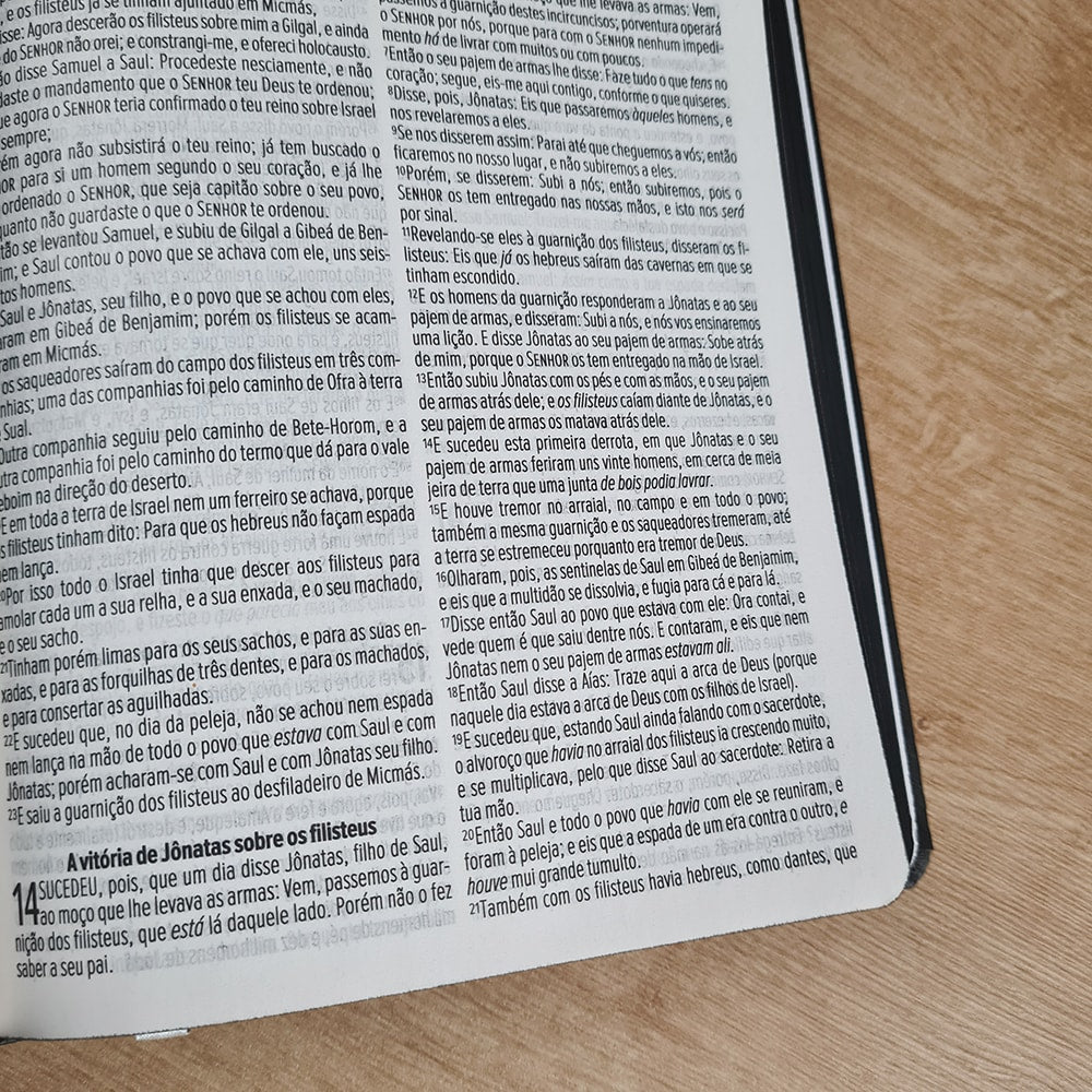 Bíblia Sagrada Ide Por Todo O Mundo | ACF | Letra Maior | Capa Luxo
