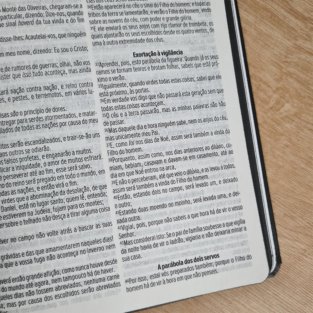 Bíblia Sagrada Ide Por Todo O Mundo | ACF | Letra Maior | Capa Luxo