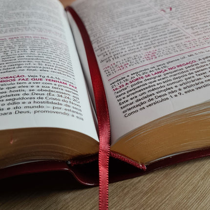 Bíblia de Estudo Pentecostal | Edição Global | ARC | Letra Grande | Capa Luxo Vinho