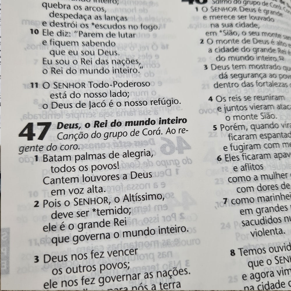 Bíblia Sagrada Azaleia | NTLH | Letra Grande | Capa Dura
