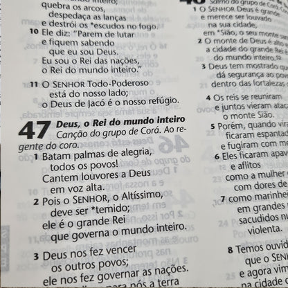 Bíblia Sagrada Azaleia | NTLH | Letra Grande | Capa Dura