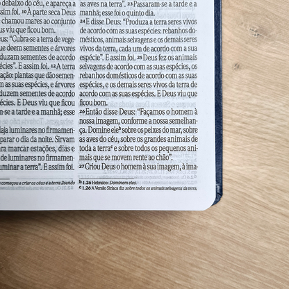 Bíblia Sagrada | NVI | Letra Grande | Capa Luxo Azul