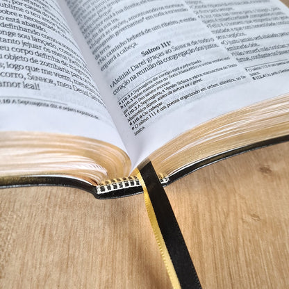 Bíblia Sagrada Com Cantor Cristão | NVI | Letra Grande | Capa Luxo Preta