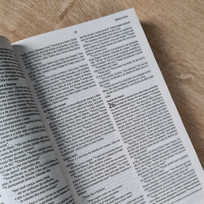 Biblia Sagrada Leão Pop | NVI | Letra Normal | Capa Brochura