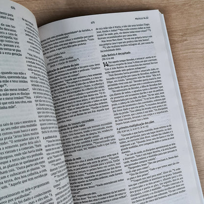 Biblia Sagrada Leão Pop | NVI | Letra Normal | Capa Brochura