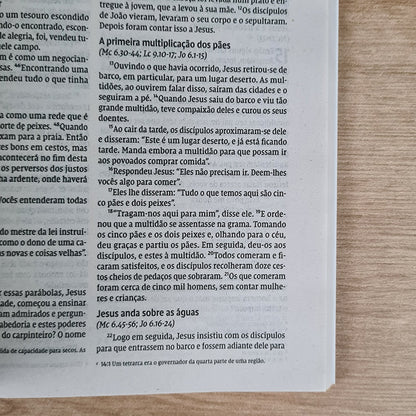 Biblia Sagrada Leão Pop | NVI | Letra Normal | Capa Brochura