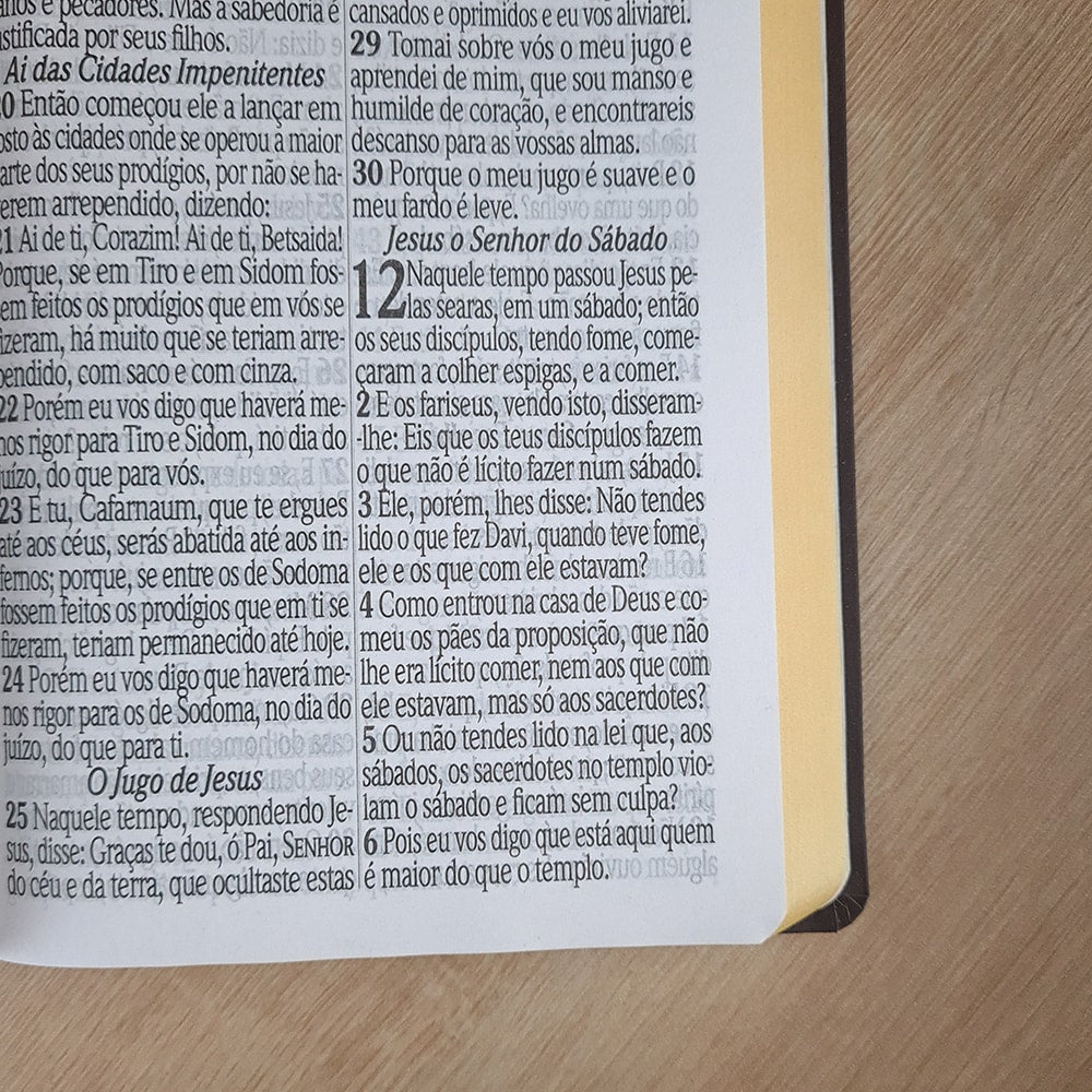 Bíblia Sagrada com Harpa Avivada e Corinhos | ARC  | Letra Jumbo | Capa Semiflexível Preta