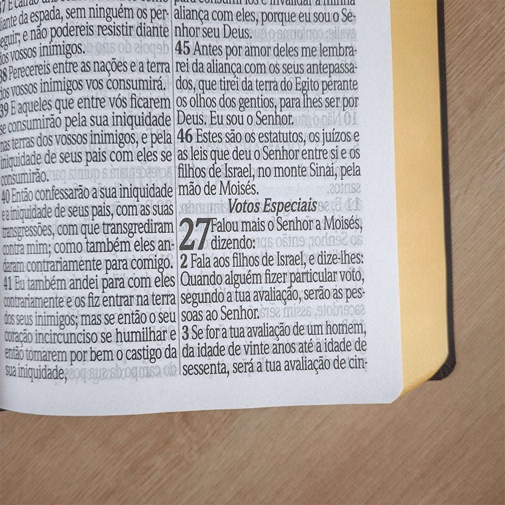 Bíblia Sagrada com Harpa Avivada e Corinhos | ARC | Letra Jumbo | Capa Semiflexível Marrom