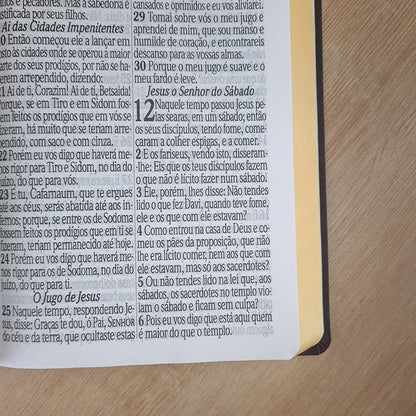 Bíblia Sagrada com Harpa Avivada e Corinhos | ARC | Letra Jumbo | Capa Semiflexível Rosa
