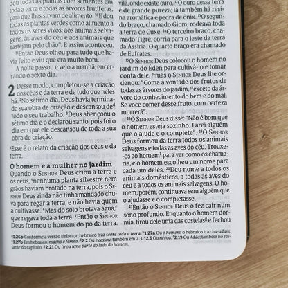Bíblia Sagrada Clássica | NVT Max | Letra Grande | Capa Dura