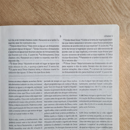 Bíblia de Estudo Wiersbe | NVI | Capa Dura Clássica