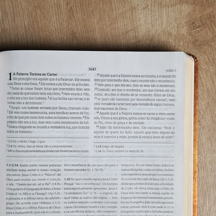 Bíblia de Estudo Wiersbe | NVI | Capa Dura Clássica