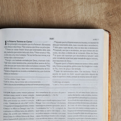 Bíblia de Estudo Wiersbe | NVI | Capa Dura Clássica