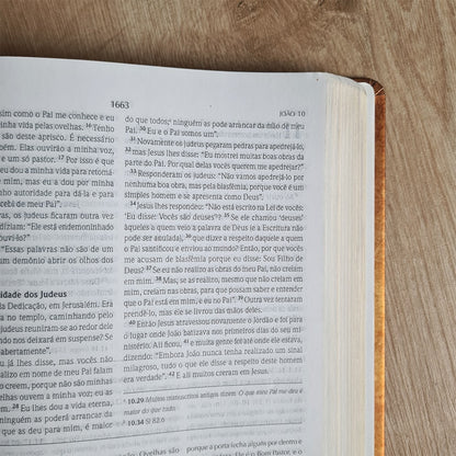 Bíblia de Estudo Wiersbe | NVI | Capa Dura Clássica