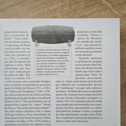 Comentário Expositivo Salmos | Vol 1 | C Hassell Bullock