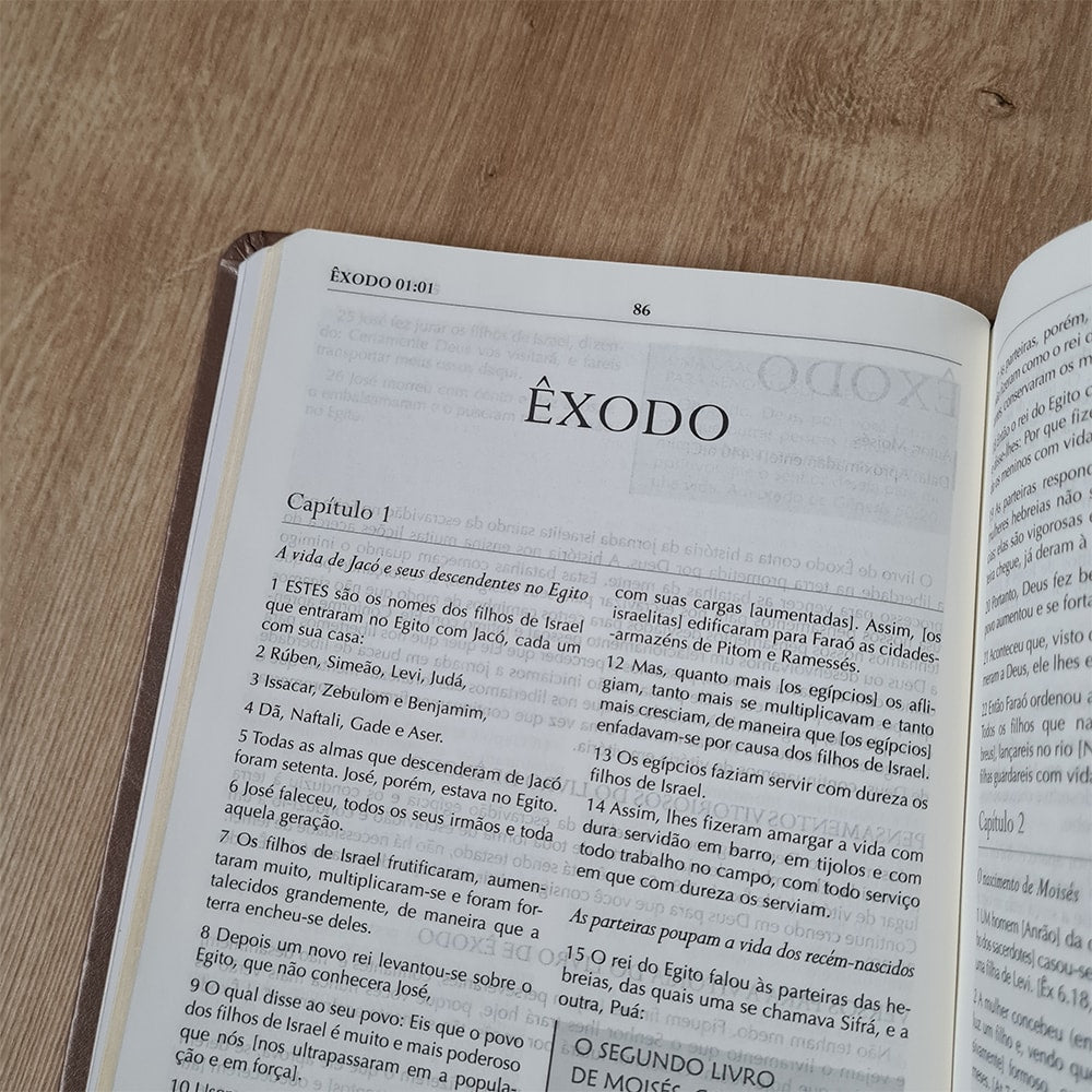 Bíblia Campo de Batalha da Mente | NVA | Letra Normal | Capa Luxo Marrom