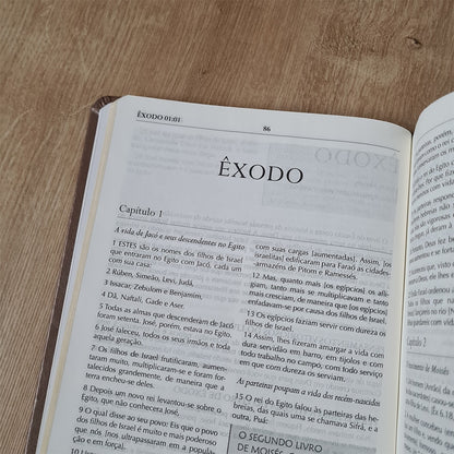Bíblia Campo de Batalha da Mente | NVA | Letra Normal | Capa Luxo Marrom