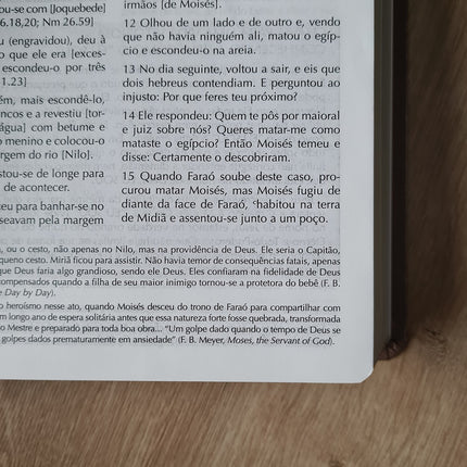 Bíblia Campo de Batalha da Mente | NVA | Letra Normal | Capa Luxo Marrom