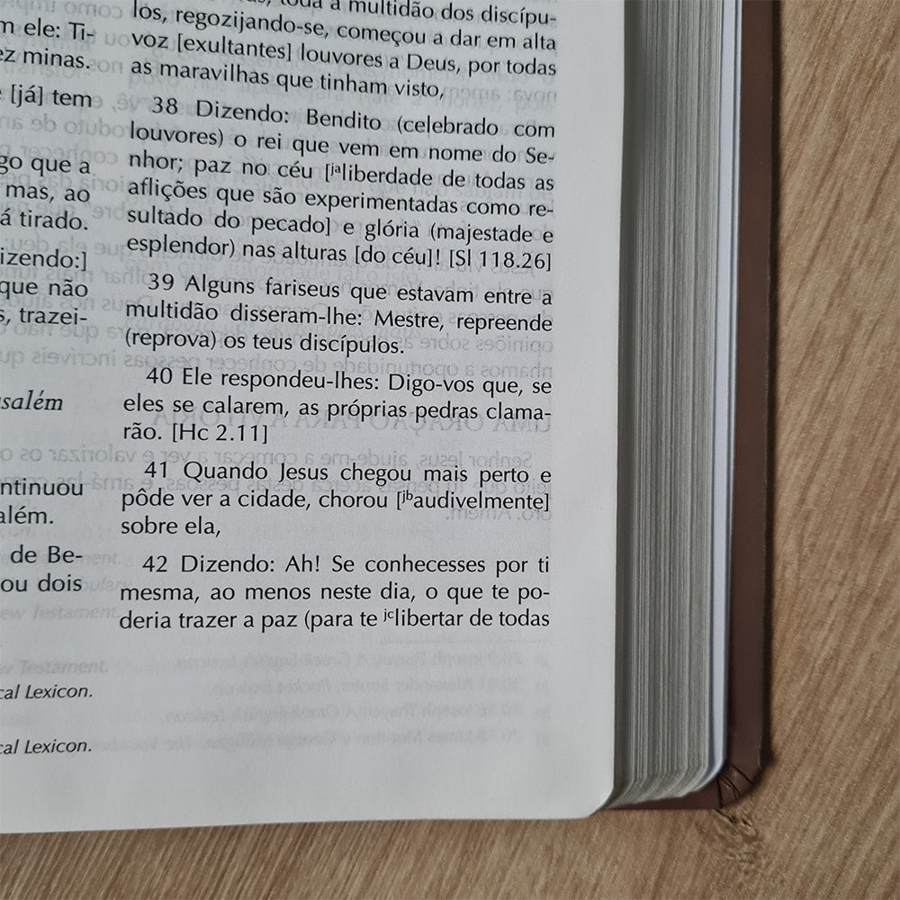 Bíblia Campo de Batalha da Mente | NVA | Letra Normal | Capa Luxo Marrom