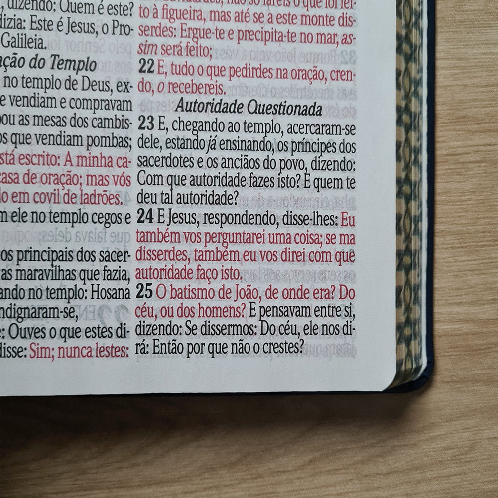 Bíblia Sagrada Letra Jumbo | ARC | Capa Luxo Estrela Azul