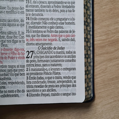Bíblia Sagrada Letra Jumbo | ARC | Capa Luxo Estrela Azul