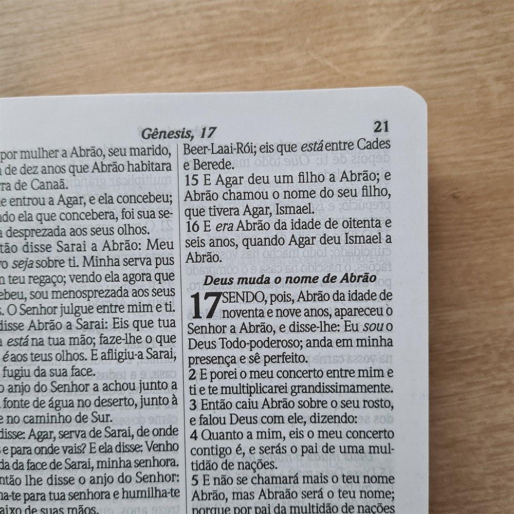 Bíblia do Culto do Ministro com Harpa Cristã e Corinhos | ARC | Letras Maiores | Capa Luxo Marrom