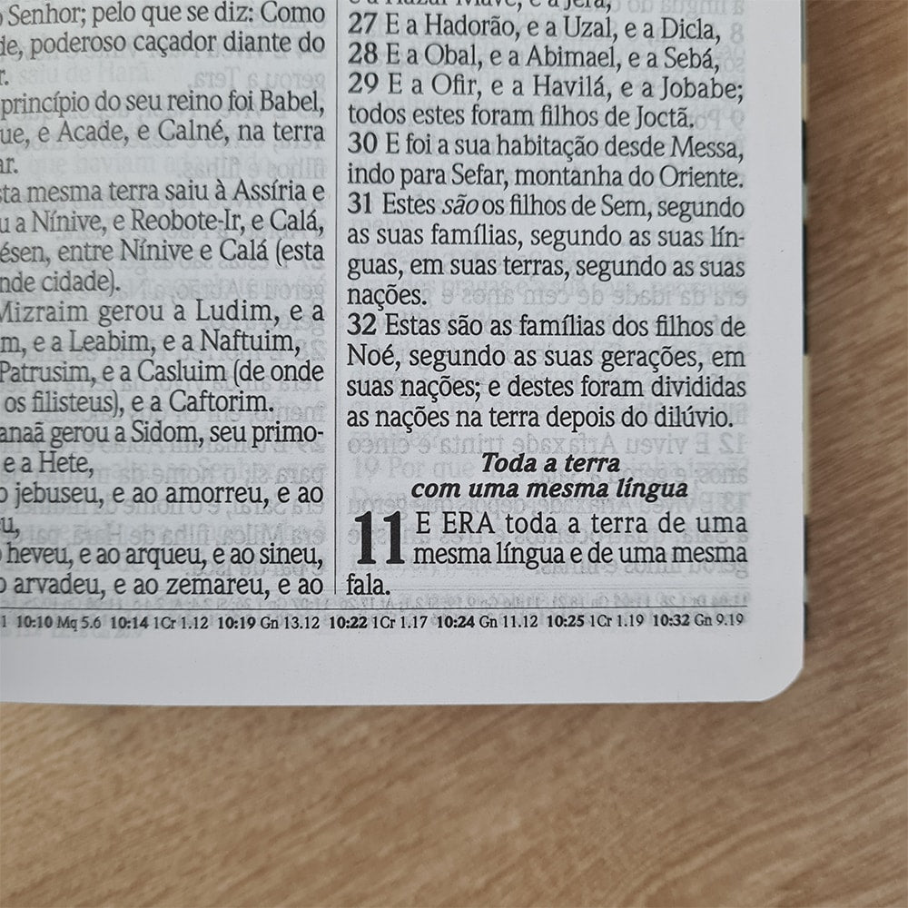 Bíblia do Culto com Harpa Cristã e Corinhos | ARC | Letras Maiores | Capa Semi-flexível Tropical Verde