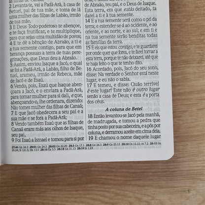 Bíblia do Culto com Harpa Cristã e Corinhos | ARC | Letras Maiores | Capa Semi-flexível Floral Rosa