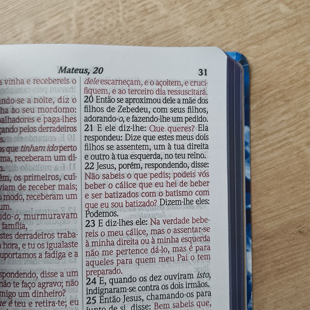 Bíblia do Culto com Harpa Cristã e Corinhos | ARC | Letras Gigante | Capa Semi-flexível Floral Azul