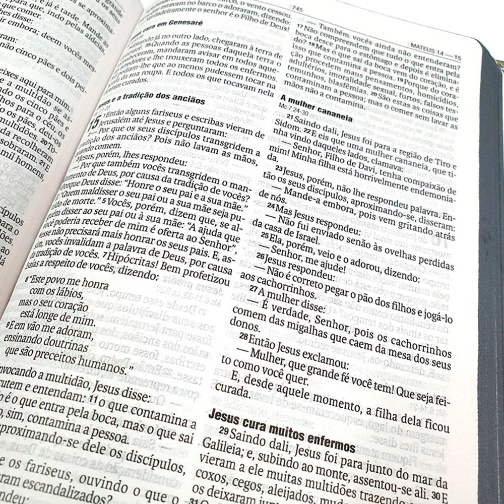 Bíblia Sagrada Florescer | NAA | Letra Normal | Capa Dura