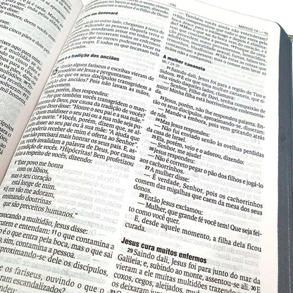 Bíblia Sagrada Florescer | NAA | Letra Normal | Capa Dura