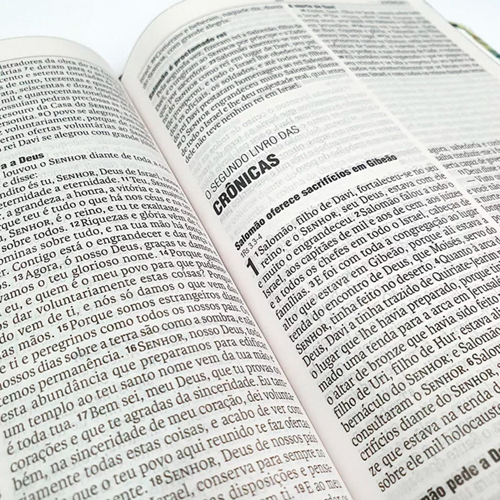 Bíblia Sagrada Florescer | NAA | Letra Normal | Capa Dura