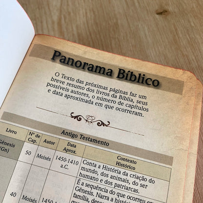 Bíblia Sagrada Tarde Colorida | NVT | Letra Grande | Capa Dura