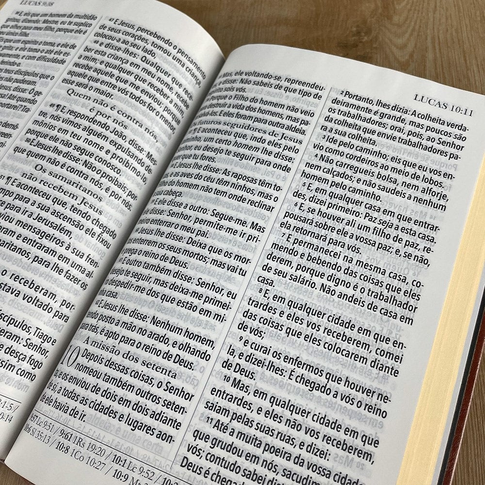 Bíblia King James 1611 | Letra Ultragigante | Capa Luxo Rose