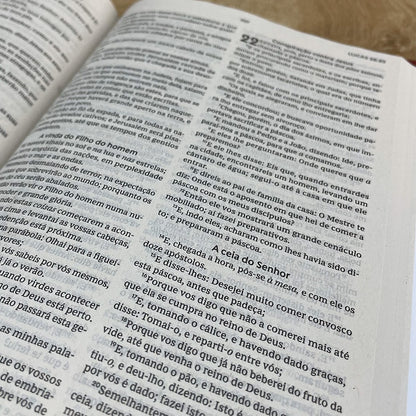 Bíblia Sagrada | ACF | Leitura Perfeita | Capa Dura Oração