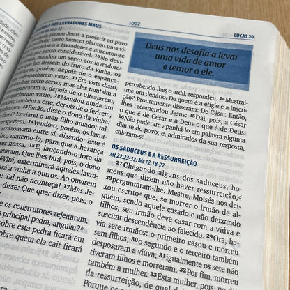 Bíblia da Família | ARA | Letra Normal | Capa Luxo Branco e Marrom