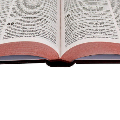 Bíblia Sagrada Flores | ARC | Letra Normal | Capa Dura Evangelismo