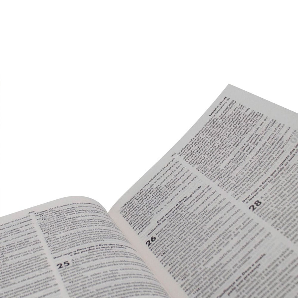 Bíblia Sagrada Ilustrada Ramos | ARC | Letra Normal | Capa Dura Evangelismo