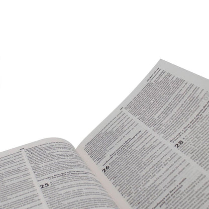 Bíblia Sagrada Ilustrada Ramos | ARC | Letra Normal | Capa Dura Evangelismo