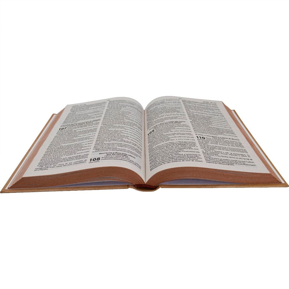 Bíblia Sagrada Ilustrada Ramos | ARC | Letra Normal | Capa Dura Evangelismo