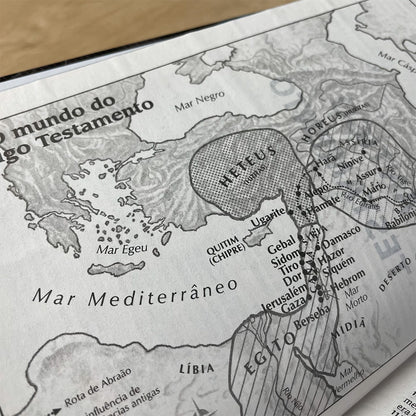 Bíblia Sagrada Ilustrada Ramos | ARC | Letra Normal | Capa Dura Evangelismo