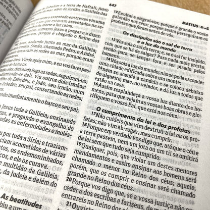 Bíblia Sagrada Leão Azul | ARC | Letra Normal | Capa Dura Evangelismo