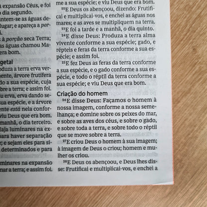 Bíblia Sagrada | ACF | Leitura Perfeita | Capa Dura Entardecer