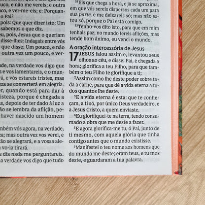 Bíblia Sagrada | ACF | Leitura Perfeita | Capa Dura Entardecer