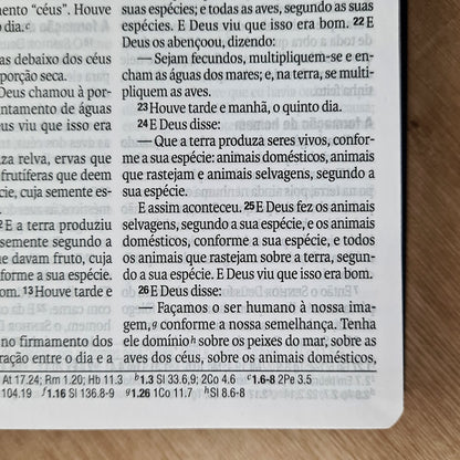 Bíblia Sagrada | NAA | Letra Grande | Capa Turquesa e Azul Escuro