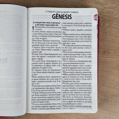 Bíblia Sagrada | ARA | Letra Gigante | Capa Turquesa e Pink C/ Índice
