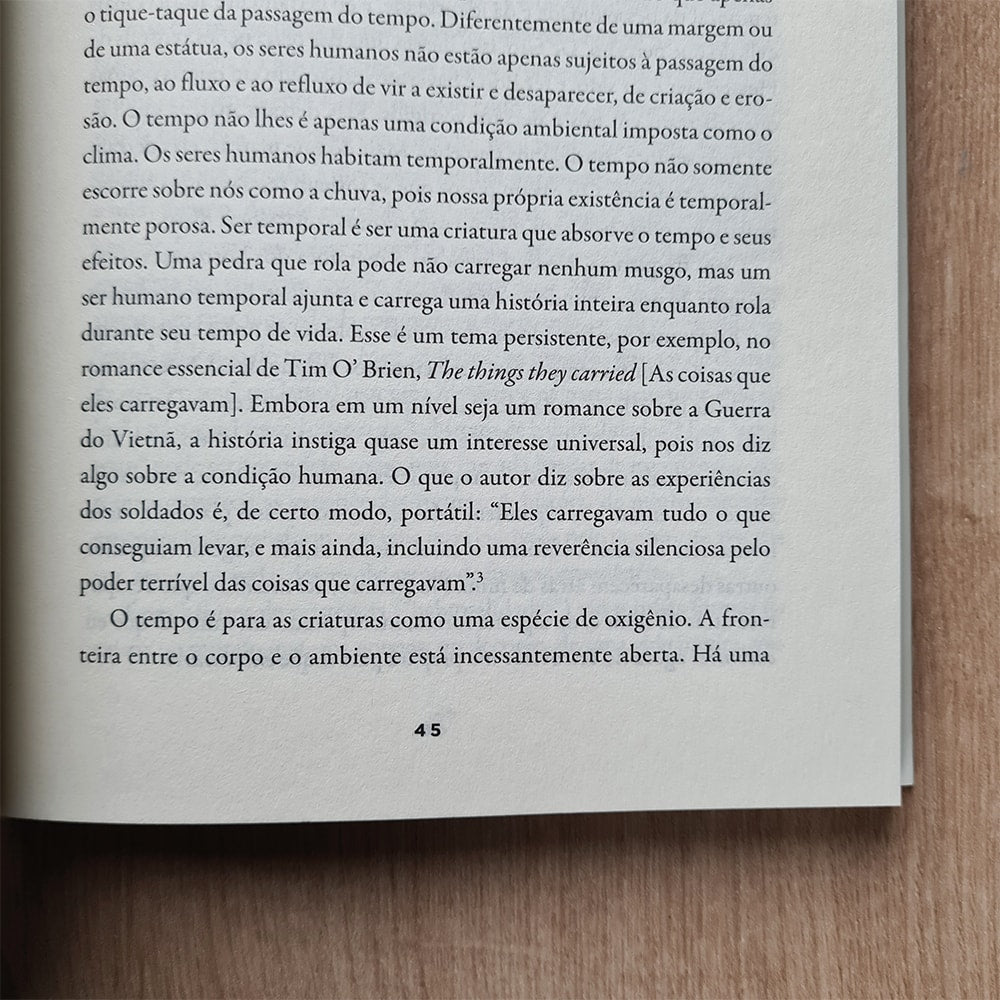Como Habitar o Tempo | James K Smith