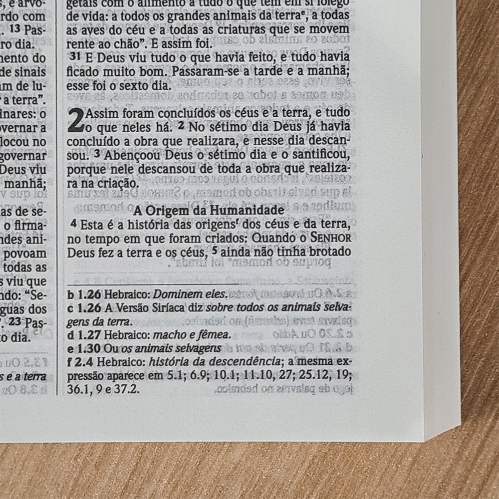 Bíblia Sagrada Média Salvos Pela Graça | NVI | Brochura Azul